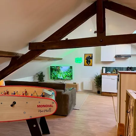 Le Jungle Loft, Lit King Size, Baby-foot & Design Appartement *