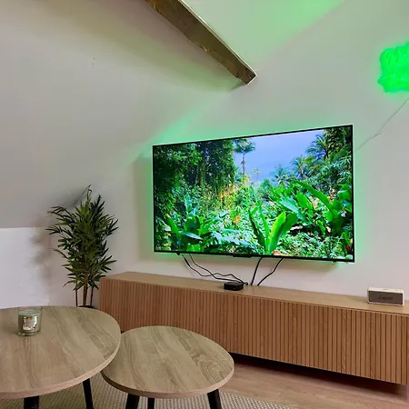 Le Jungle Loft, Lit King Size, Baby-foot & Design
