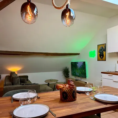 Le Jungle Loft, Lit King Size, Baby-foot & Design Appartement *