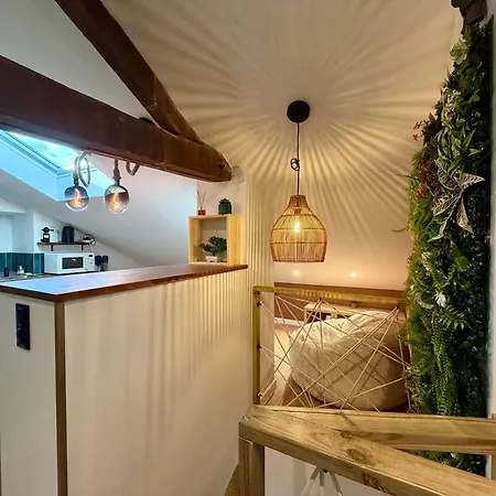 Le Jungle Loft, Lit King Size, Baby-foot & Design Appartement